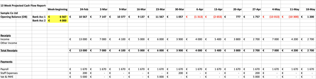 Cash flow template